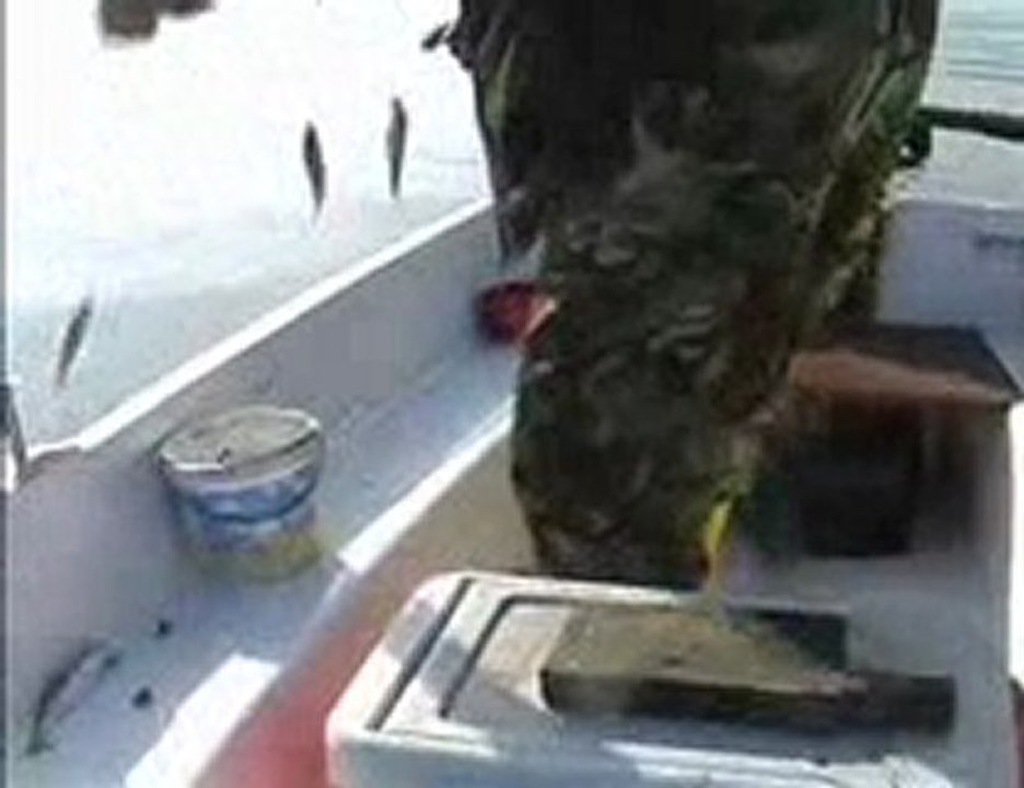 olta ile balık avı