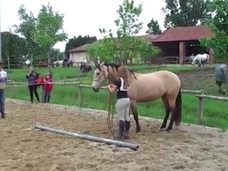 Jeu de trèfle (Equifeel 09/05/2010)