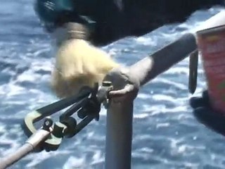 Matelot de la Flotte: au Pont