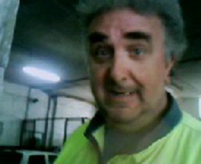 l ours de des pyrénées