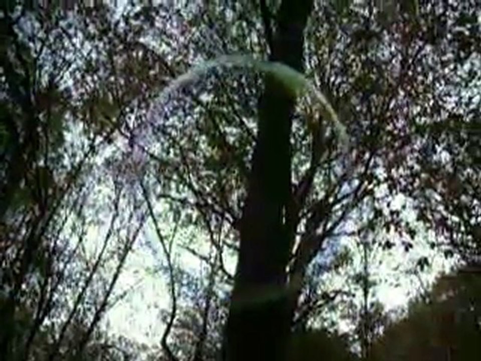 teuf Z'1fames & H2F 08-05-2010 les bulles 2