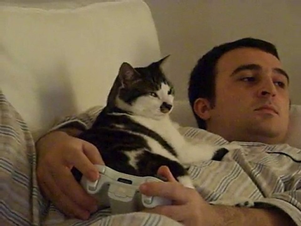 Nero le (Pa)Chat ~
