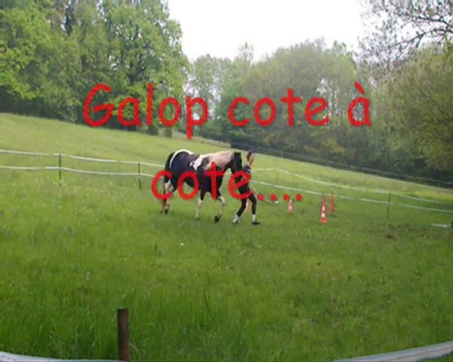 Travail en liberté Rustine, 7 mai 2010