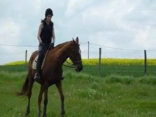 Détente au trop + galop