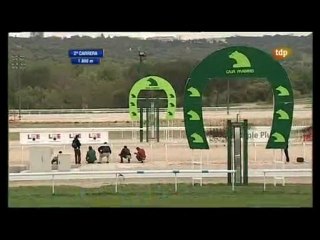 2010.05.07, n° 138 LZa (Nespresso (Yeguas 3+) SELAMY