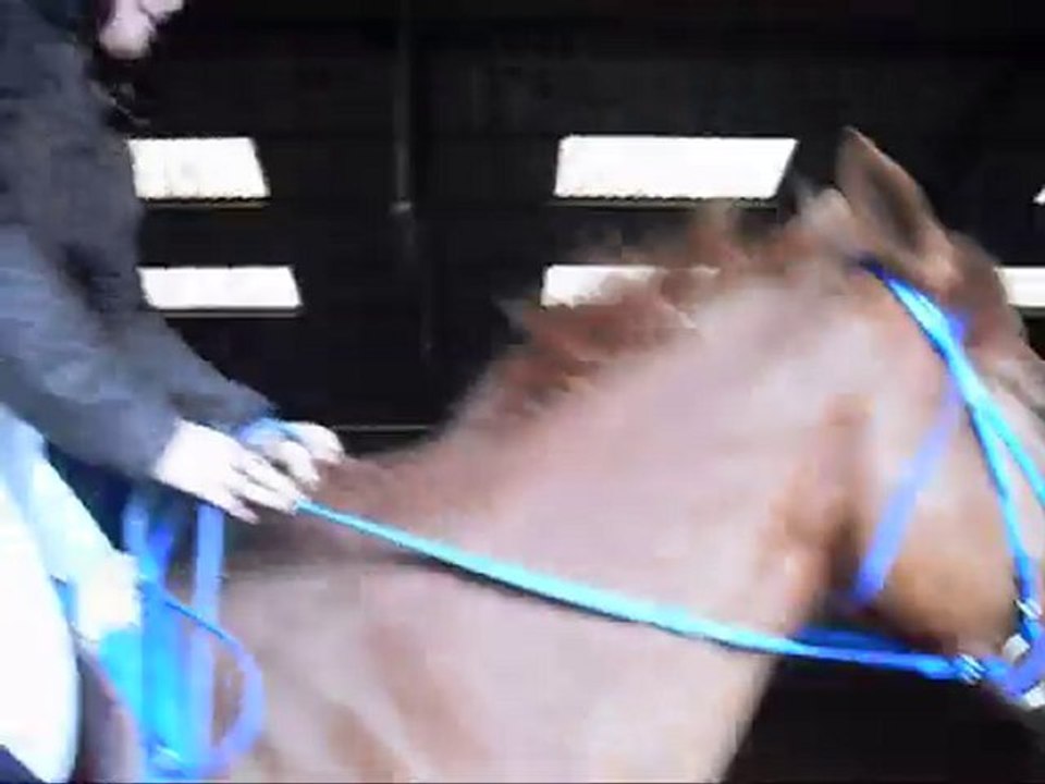 Détente avant le parcours de l'Equifun