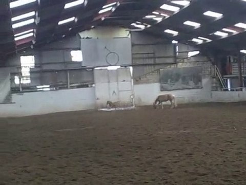 1 mois 7 jours de vie de spirit