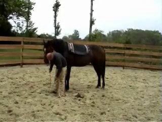 Pré debourrage Ultim etape 2