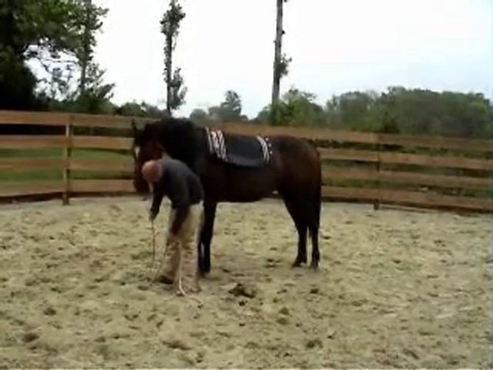 Pré debourrage Ultim etape 2