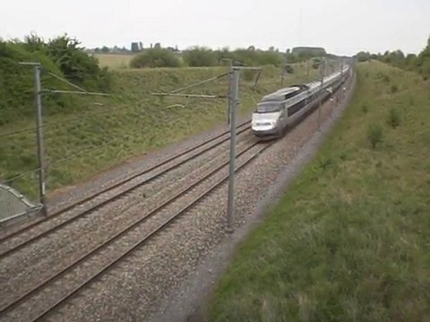 TGV - Eurostar et Thalys sur la LGV du Nord