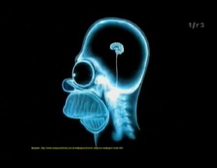 TED 18 minutes pour changer le monde 1/3