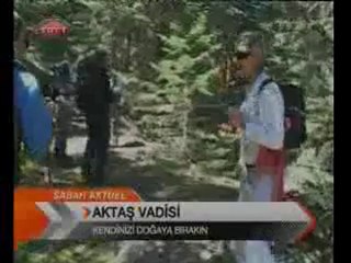Aktas Vadisi