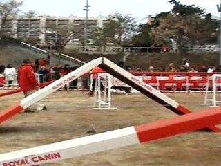 Nana - Club d´agility Can Jane