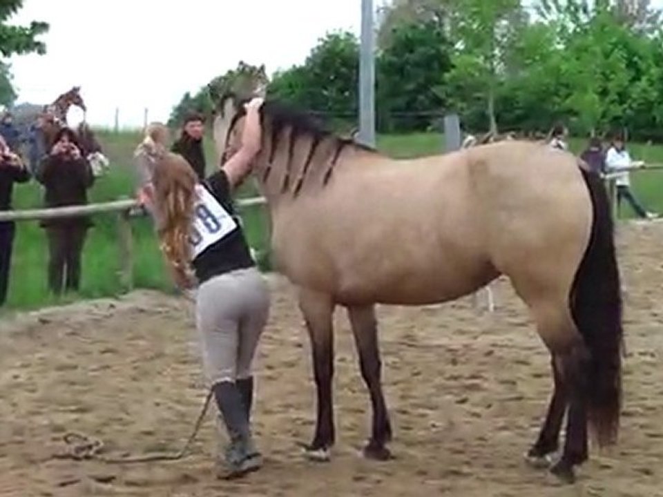 Jeu du licol (Equifeel 09/05/2010)