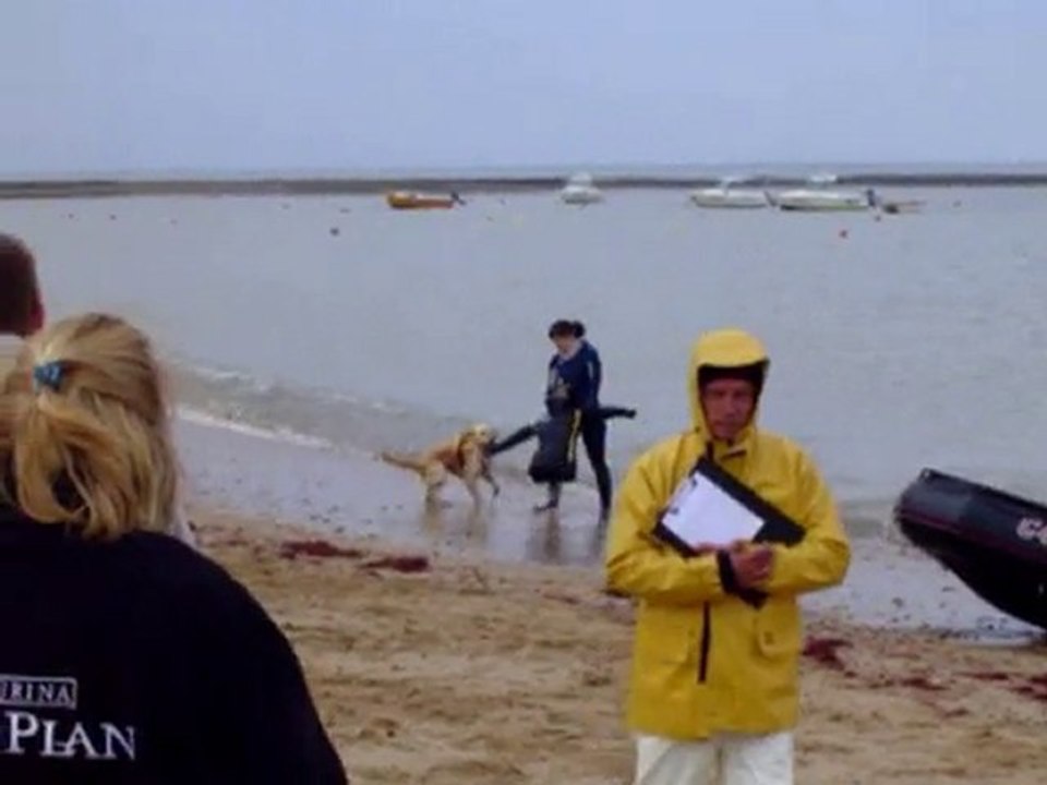 Djinnie 2eme degré entière