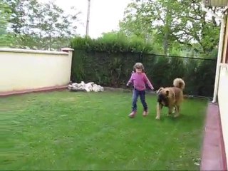 Bikavér-Őre Hercegnő mozgás 2010 május 10