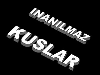 Cömlekci10(Biraz Gülelim)Harika kuslar