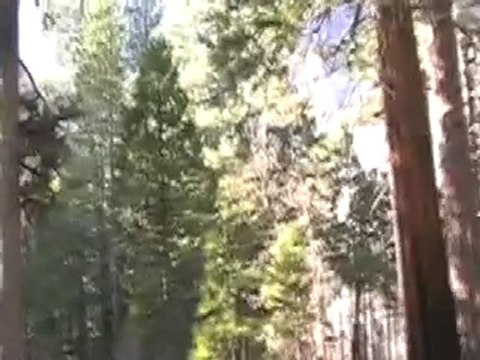 West Trip - Yosemite National Park