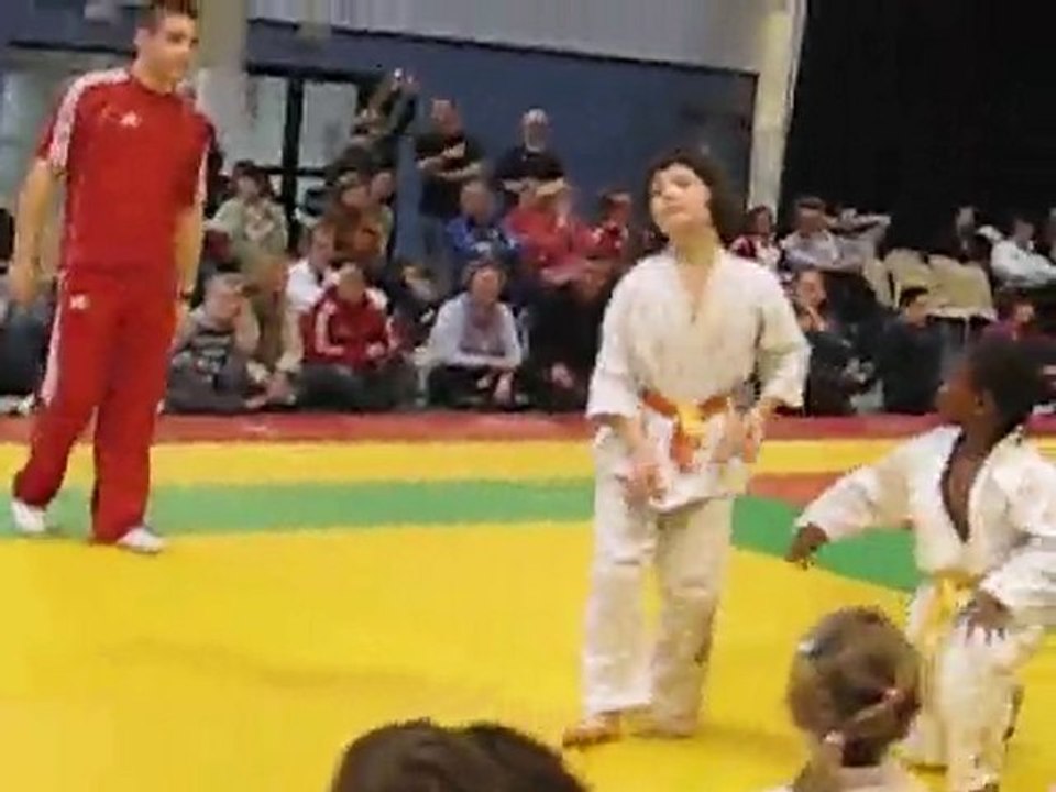 ROMAIN EMERAINVILLE 2010