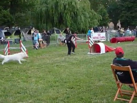 TGR Miramas - Aster - 1er jour Jumping