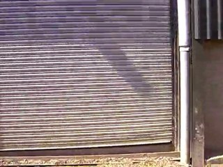 visite rapide de la ferme