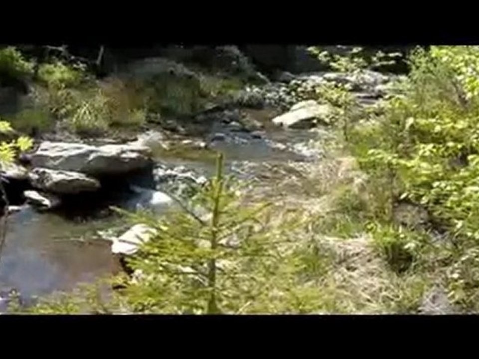 Bayehon Zen