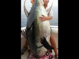 Yellowfin tuna fishing secrets revealed