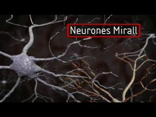 Sindrome d´Asperger