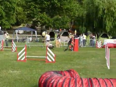 TGR Miramas - Asian - 2eme jour Agility