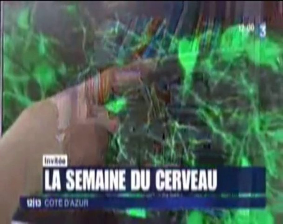 Reportage France 3 12/13 : Semaine du Cerveau en Côte d'Azur