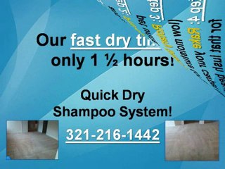 Carpet & Rug Cleaner Orlando 321-216-1442