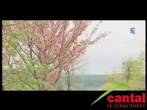 l'hiver revient dand le Cantal (Mai 2010)