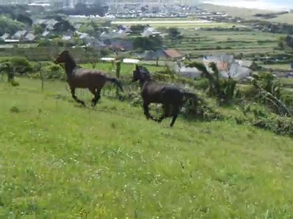 Ultime et Rubis