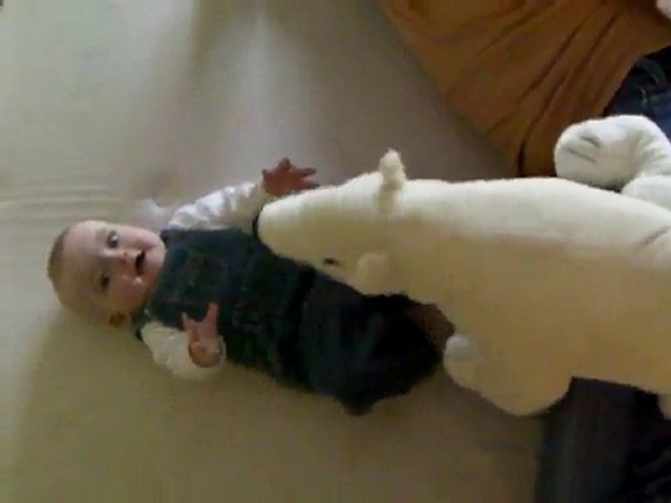 COMBAT CONTRE UN OURS POLAIRE