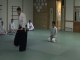 Aikido with the Jo-Martial Arts Classes-West Michigan