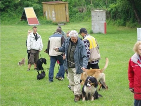 adherentsdu 09 mai 2010 : club AB Caluire