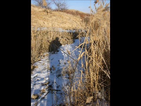 sensiz olmuyor yaşar