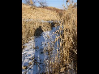 sensiz olmuyor yaşar