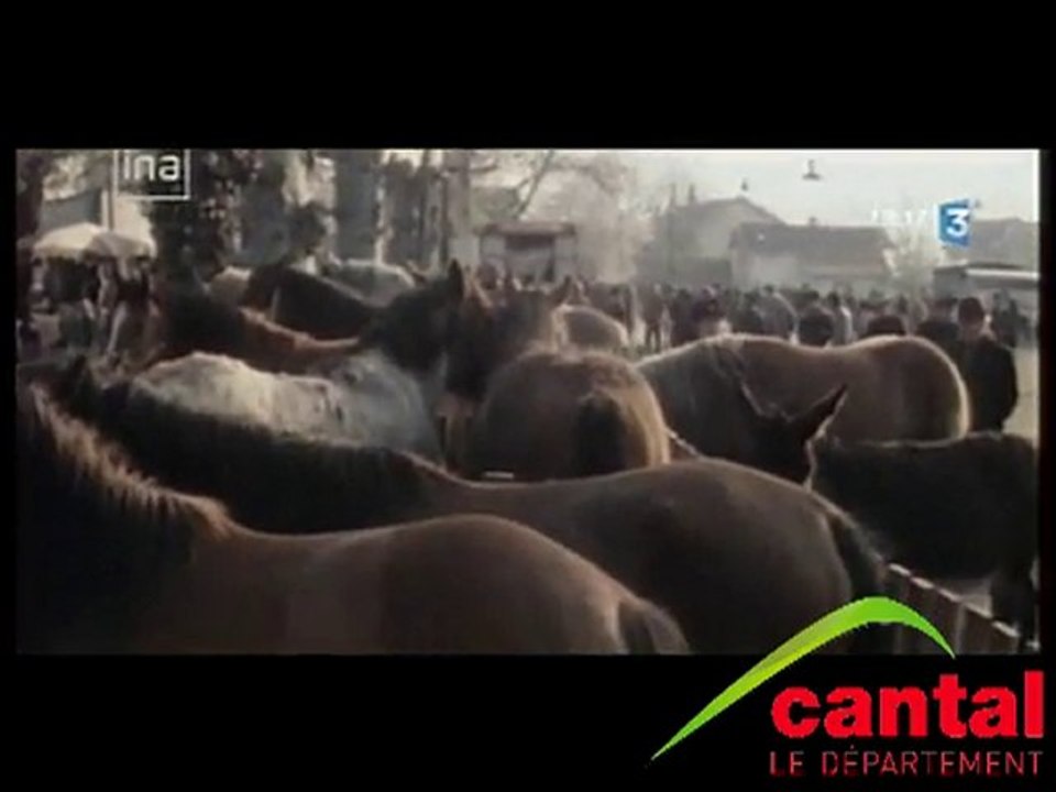 Foire aux  chevaux à Maurs dans les Années 70