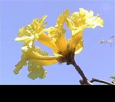 Viajar Por Colombia, Destino Girardot,Cundinamarca