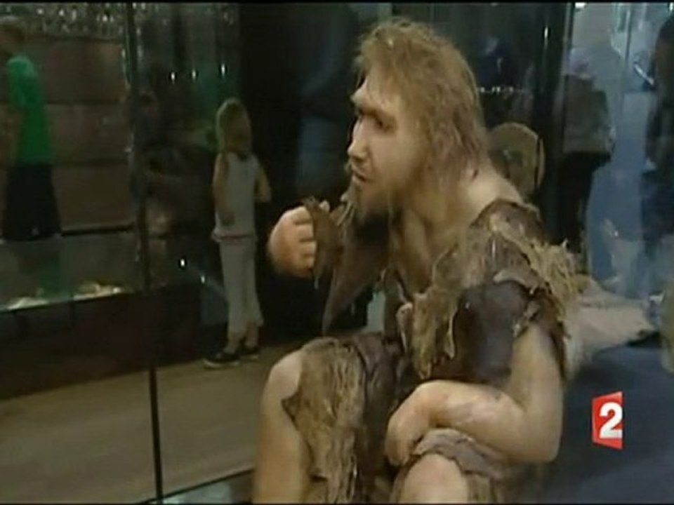 Neandertal, un nouvel ancêtre