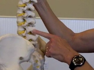 Spine Care & Back Pain 101 part 1