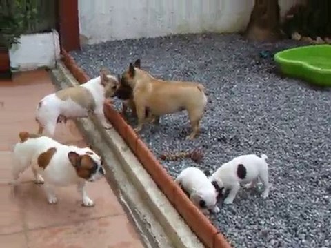 bébés et les grands 1