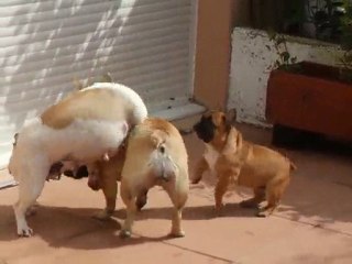 les bébés et les grands 3
