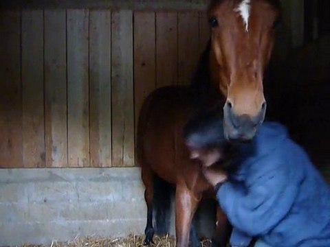 Trop bon les gratte-gratte