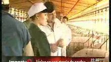 Impacto 9 02