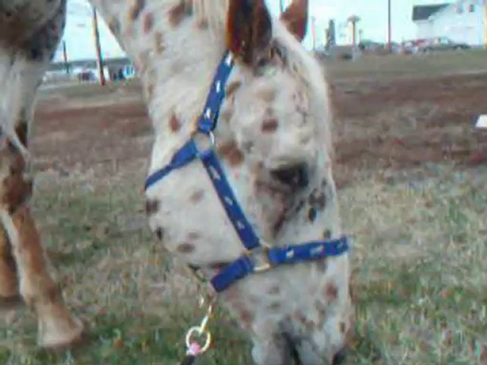 8mai2010