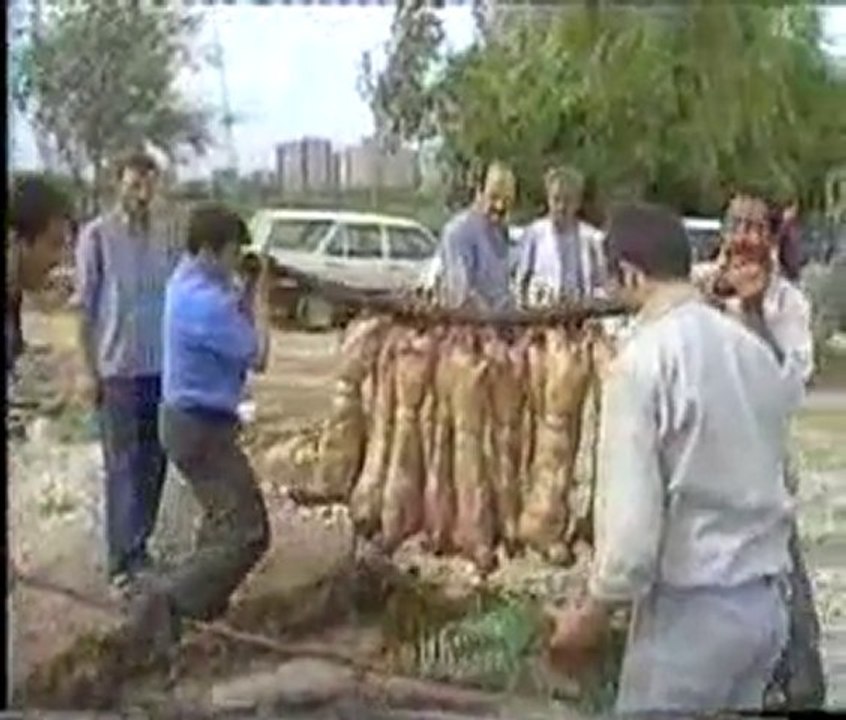 CIDE SARI YAZMA
