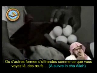 Ruses de sorcier 11 /14