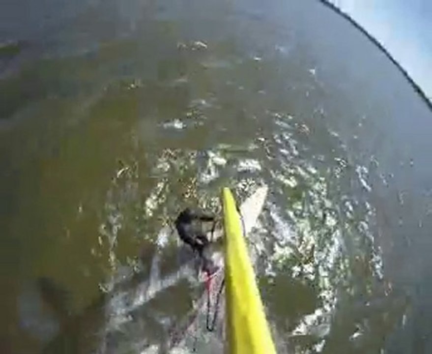 Cap Hatteras 2010 vol 2